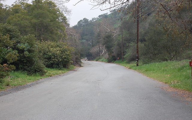 DSC 0239