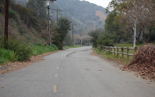 DSC 0240