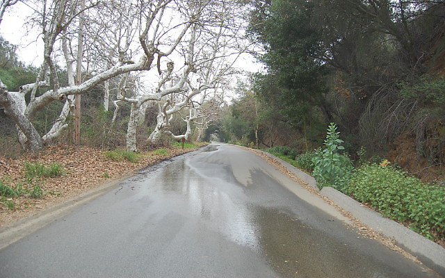 DSC 0222