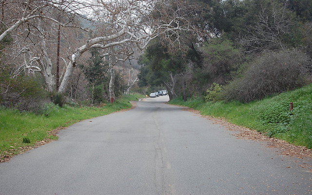 DSC 0232