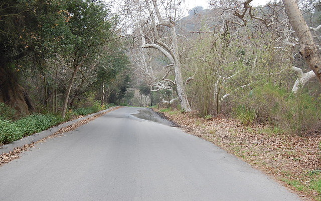 DSC 0220