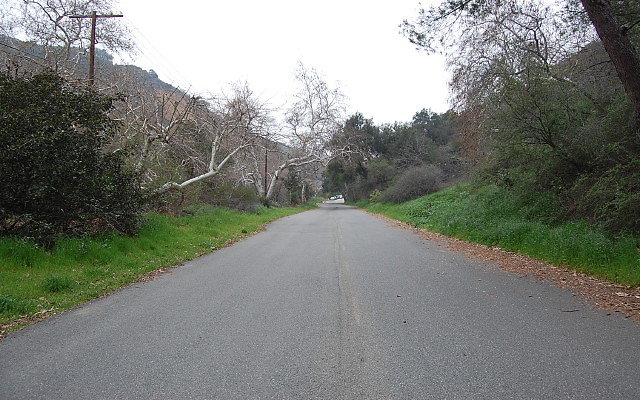 DSC 0233