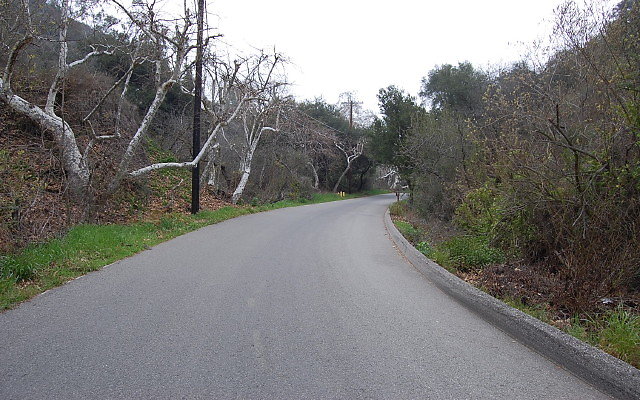 DSC 0228