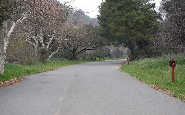 DSC 0236