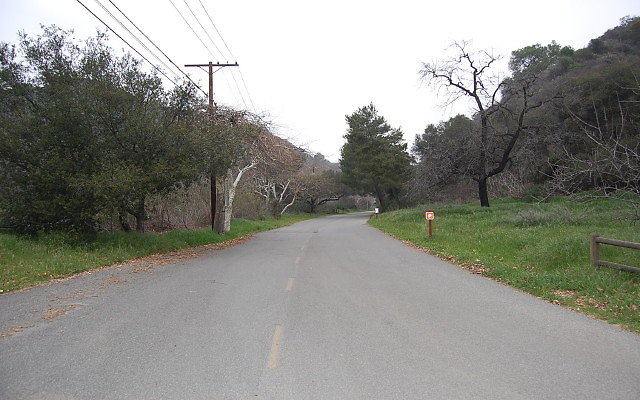 DSC 0237