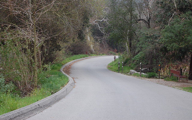 DSC 0225