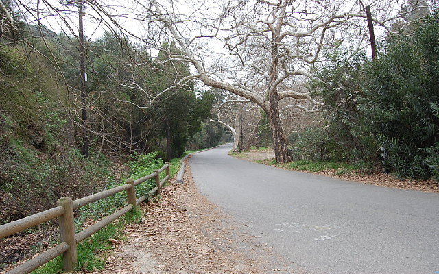 DSC 0215