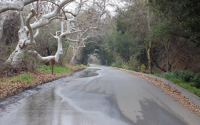 DSC 0221