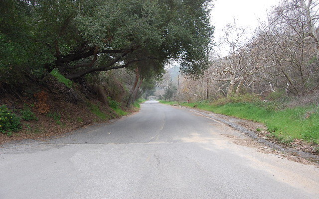 DSC 0231