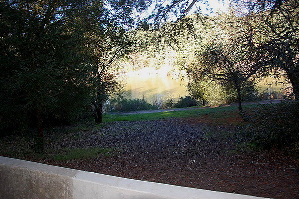 DSC 0100