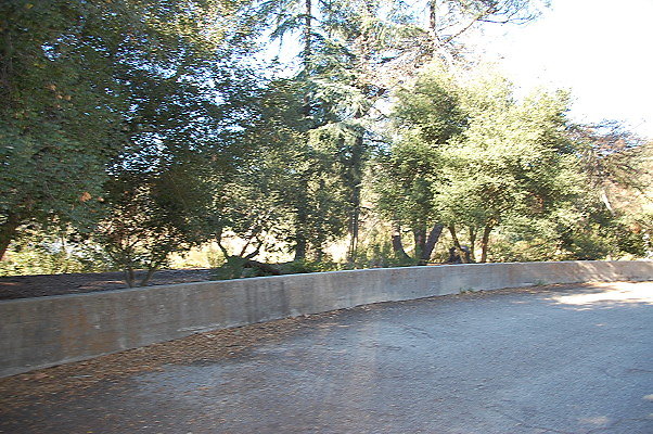 DSC 0073