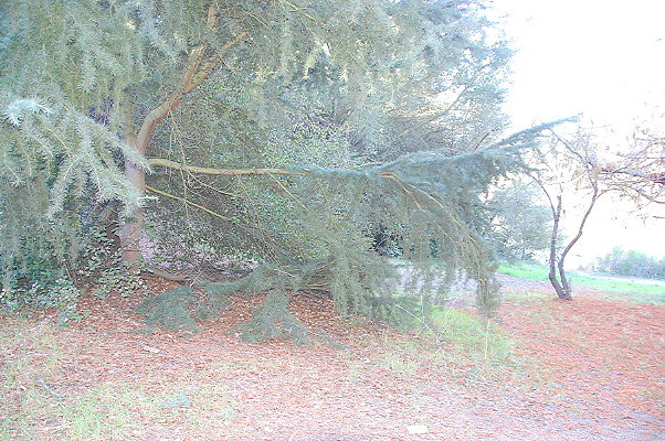 DSC 0023