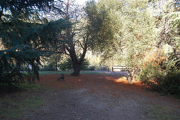 DSC 0017