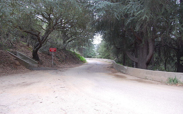 DSC 0252