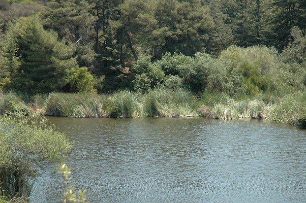 DSC 0040