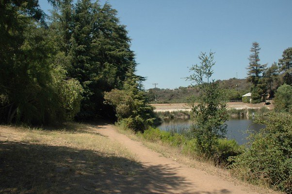 DSC 0002
