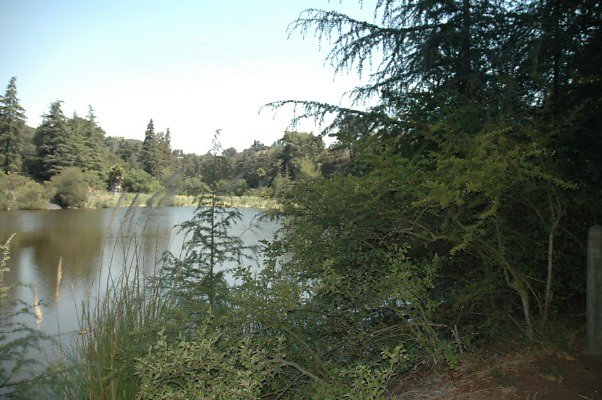 DSC 0014a
