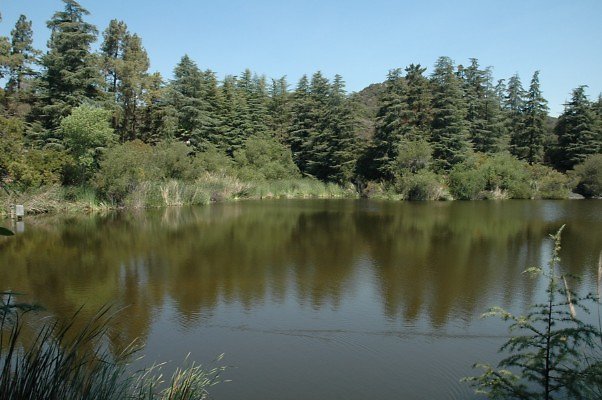 DSC 0014