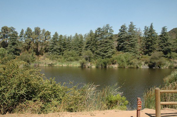 DSC 0003
