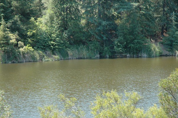 DSC 0033b