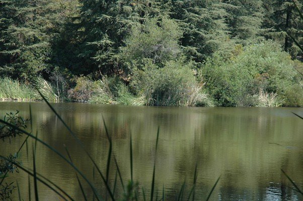 DSC 0020