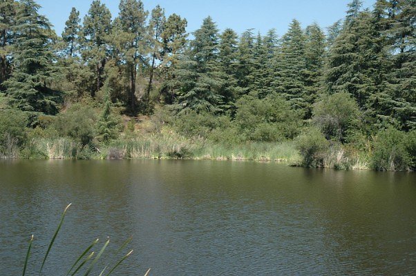 DSC 0005
