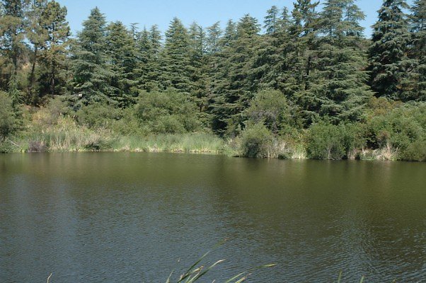 DSC 0010