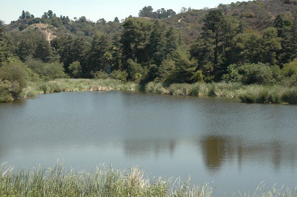 DSC 0021b