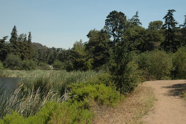 DSC 0012