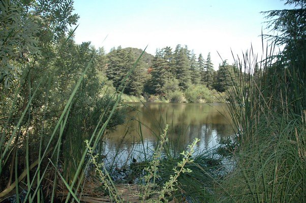 DSC 0019