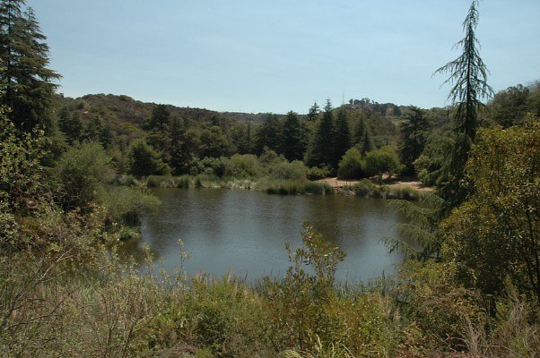 DSC 0035
