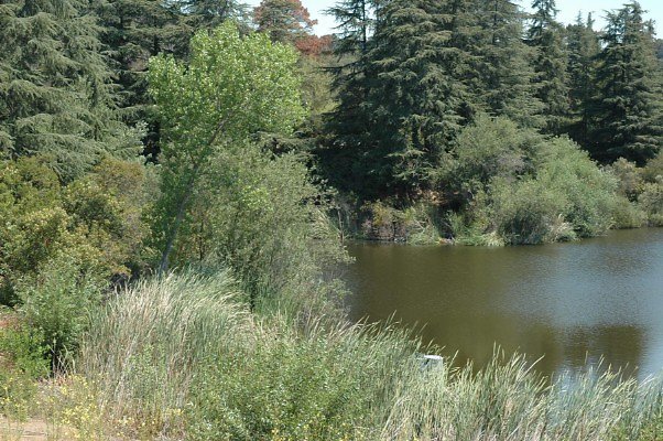 DSC 0021a