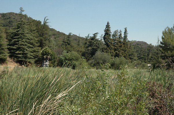 DSC 0007