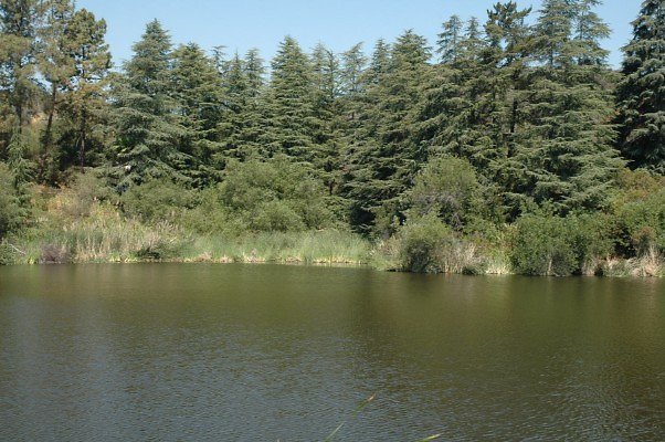 DSC 0008