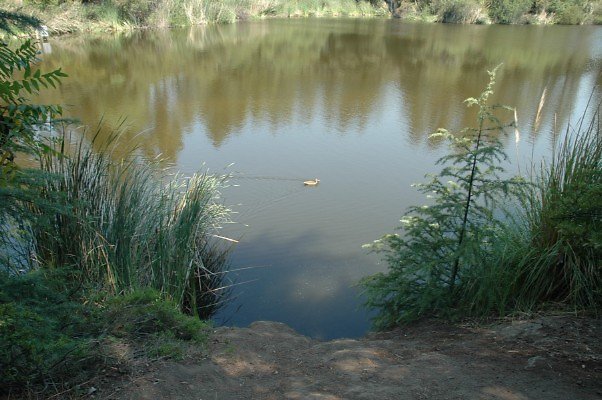 DSC 0015