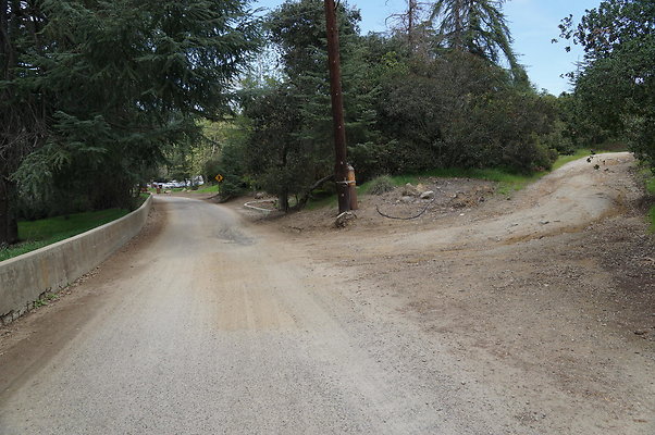 DSC07936b