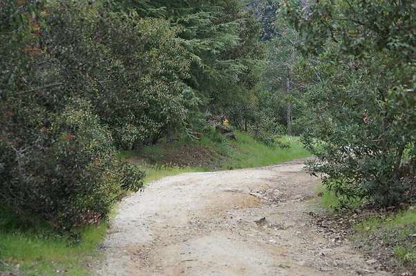 DSC07948