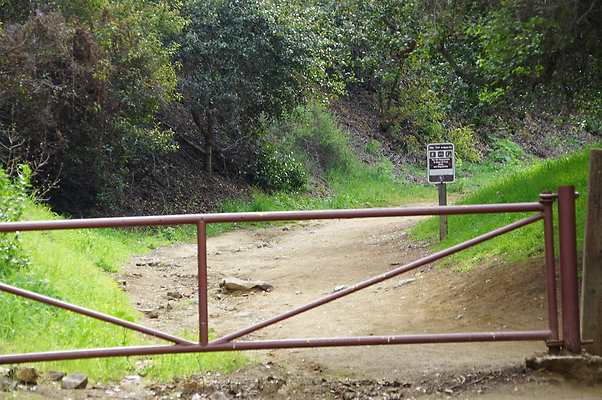 DSC07910