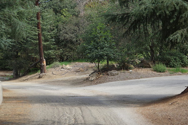 DSC07922
