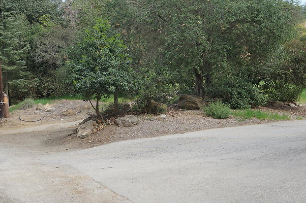 DSC07927
