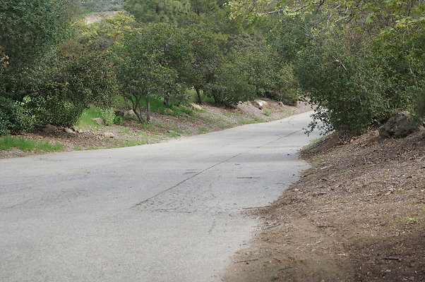 DSC07928