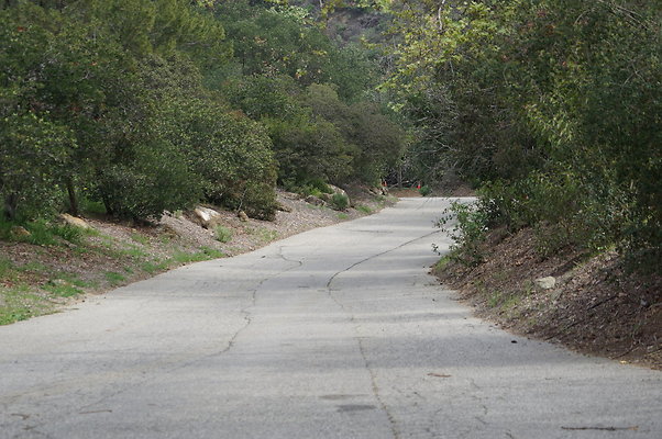 DSC07935