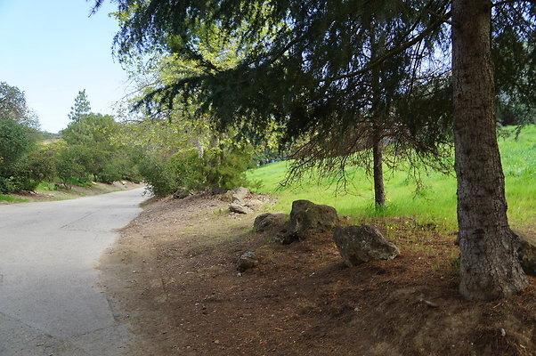 DSC07931