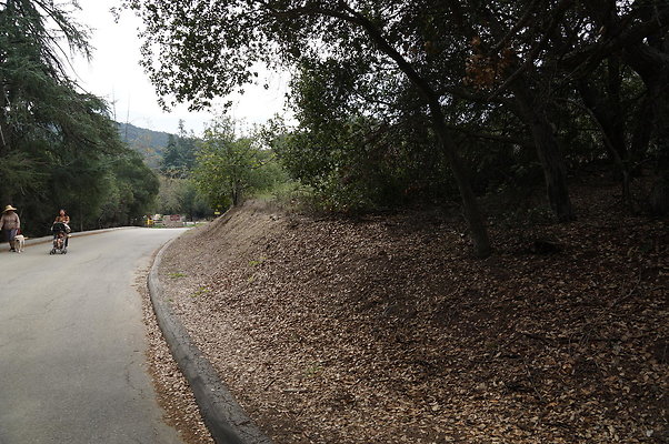 DSC07962
