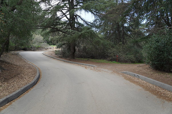 DSC07954