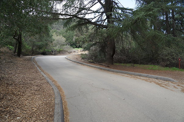 DSC07957