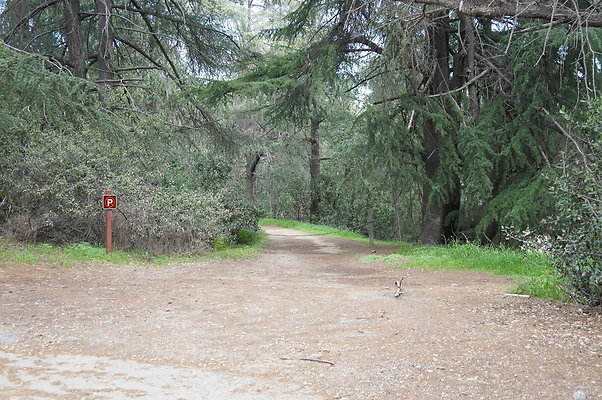 DSC07965