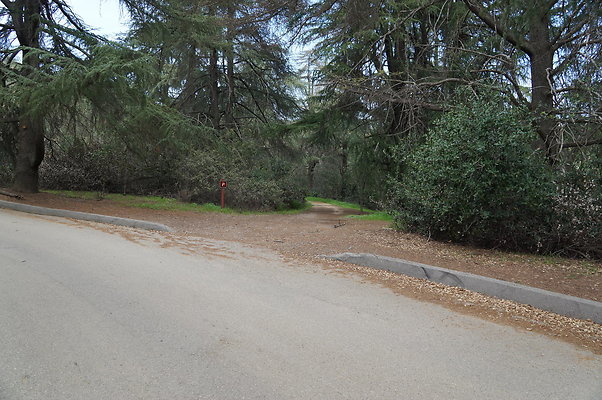 DSC07956