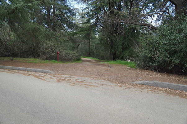 DSC07958