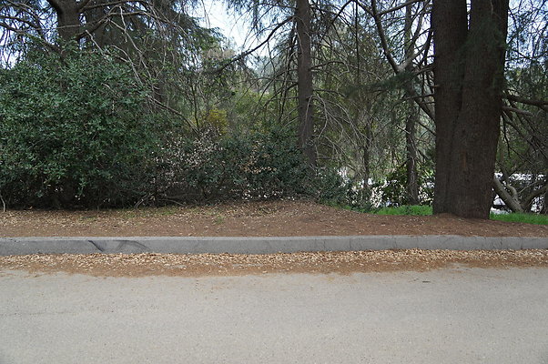 DSC07959